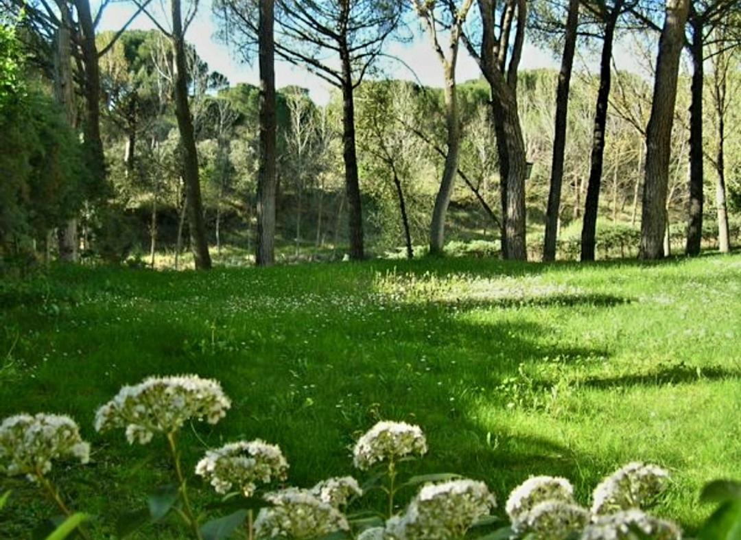 La Casa De La Ribera Del Cega Villa Viana de Cega Luaran gambar